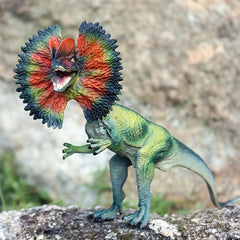Dinosaur Model Toys Velociraptor Dilophosaurus Animal Model Ornaments