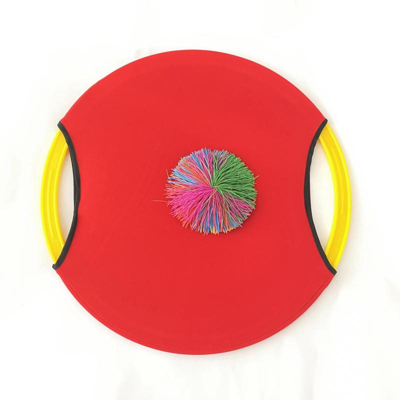 Outdoor Parent Child Bouncing Hoop & Throwing Ball Toy Set