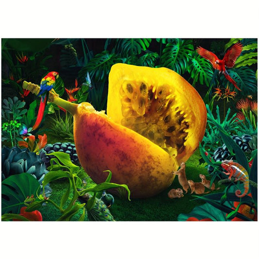 1000 Piece Bird and Fruit Puzzle Game for Adults and Kids