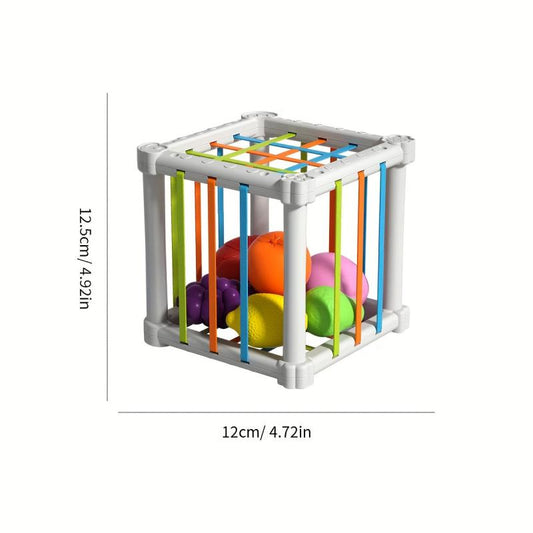 Montessori Colorful Cube & 6 Fruit Shapes Learning Toys