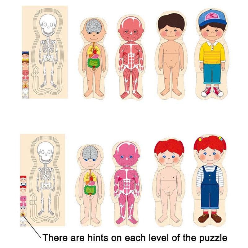 Wooden Human Body Puzzle Organs Educational Jigsaw Board Game