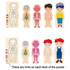Wooden Human Body Puzzle Organs Educational Jigsaw Board Game