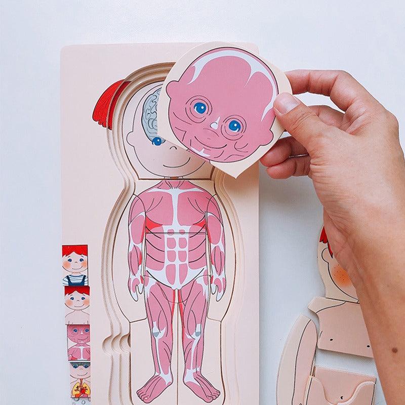 Wooden Human Body Puzzle Organs Educational Jigsaw Board Game