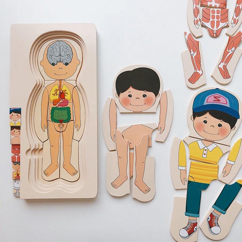 Wooden Human Body Puzzle Organs Educational Jigsaw Board Game