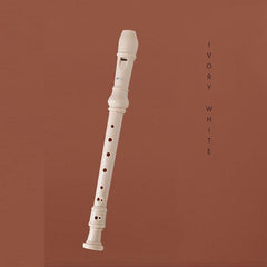 8 Hole G Key ABS Clarinet With Cleaning Stick