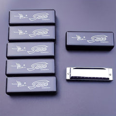 10 Hole 20 Tone Diatonic Harmonica Blues Harp For Beginners