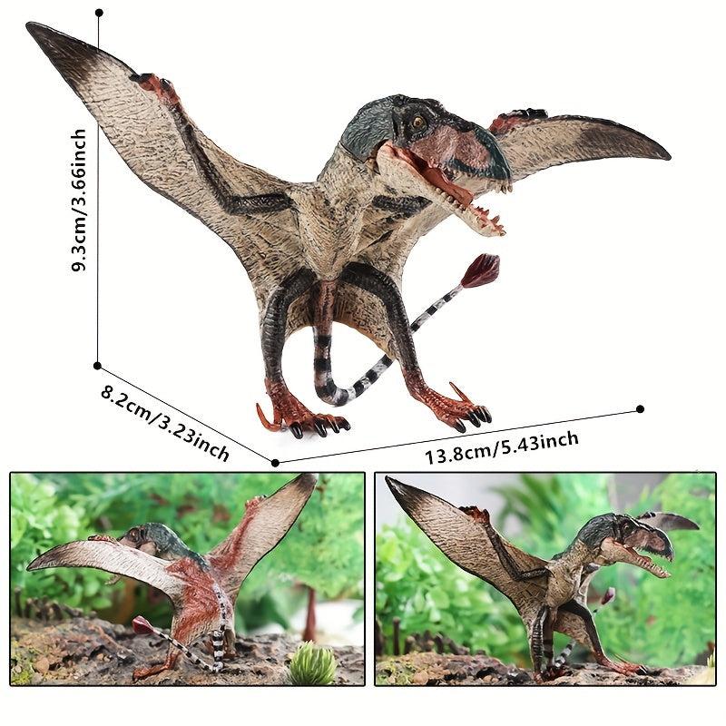 Dinosaur Biology Educational Pterosaur Allosaurus Model Toy