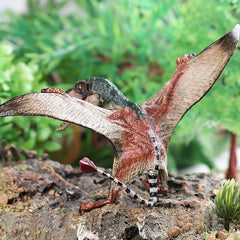 Dinosaur Biology Educational Pterosaur Allosaurus Model Toy