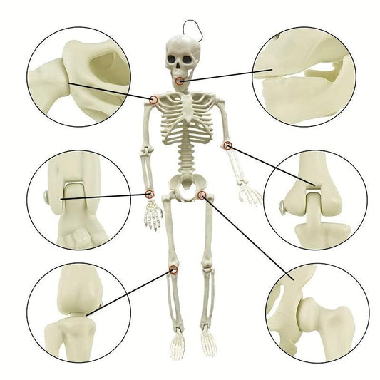 1pc Halloween Plastic Skeleton Decoration for Haunted House and Horror Theme