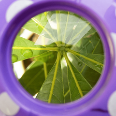 Kids Cartoon Insect Magnifying Glass