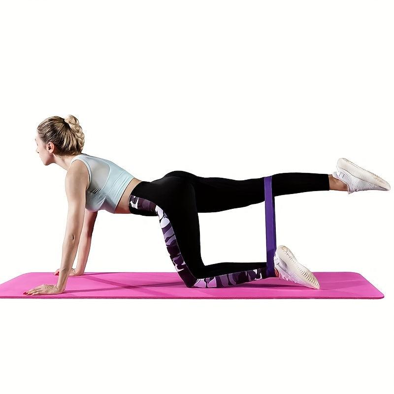 Resistance Loop Band Set with Manual & Bag