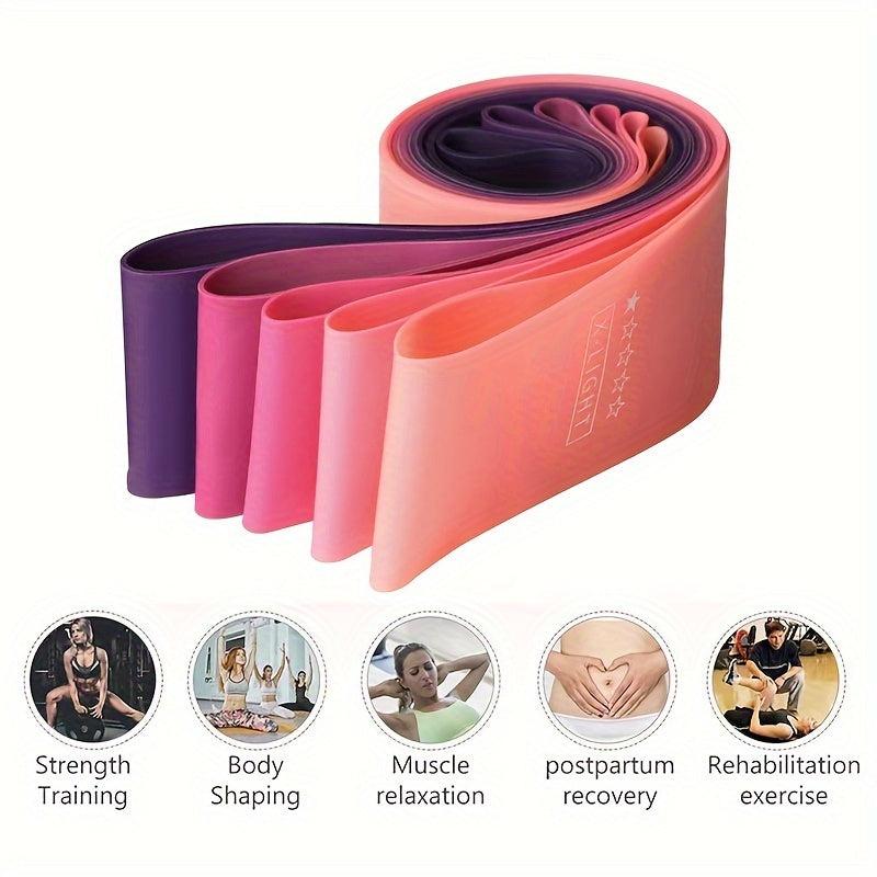 Resistance Loop Band Set with Manual & Bag