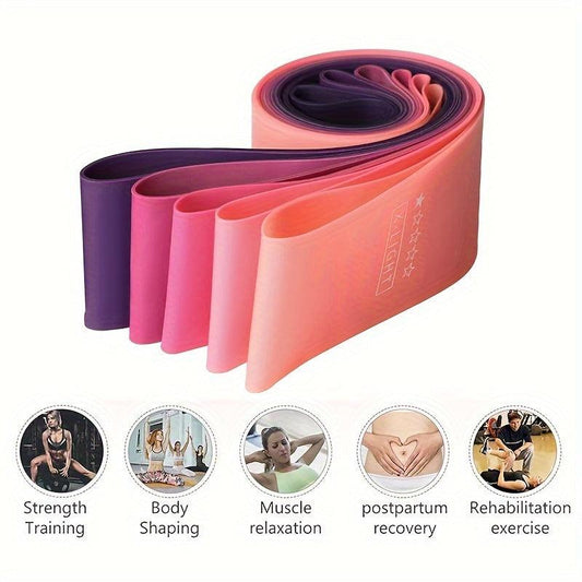 Resistance Loop Band Set with Manual & Bag