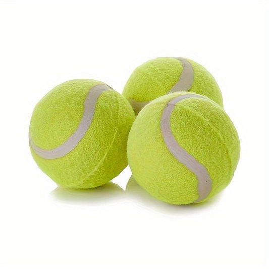 Tennis Balls 6pcs Pet Dog Play Balls No Net Bag
