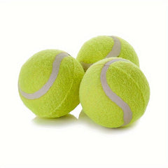Tennis Balls 6pcs Pet Dog Play Balls No Net Bag
