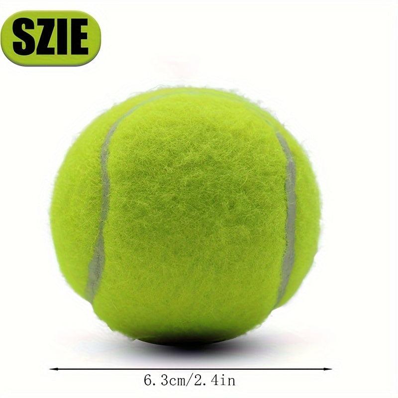 Tennis Balls 6pcs Pet Dog Play Balls No Net Bag