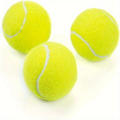 Tennis Balls 6pcs Pet Dog Play Balls No Net Bag