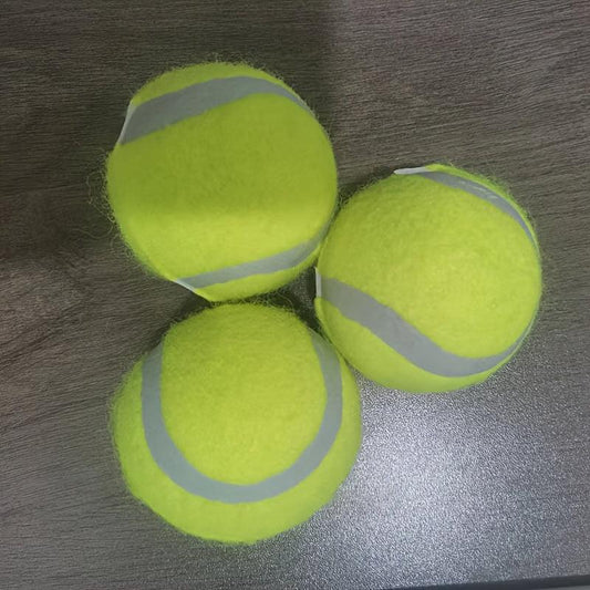 Tennis Balls 6pcs Pet Dog Play Balls No Net Bag