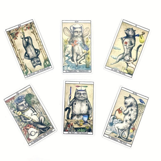 Tarot Cats Ana Juan Mystery Comic Standard Edition