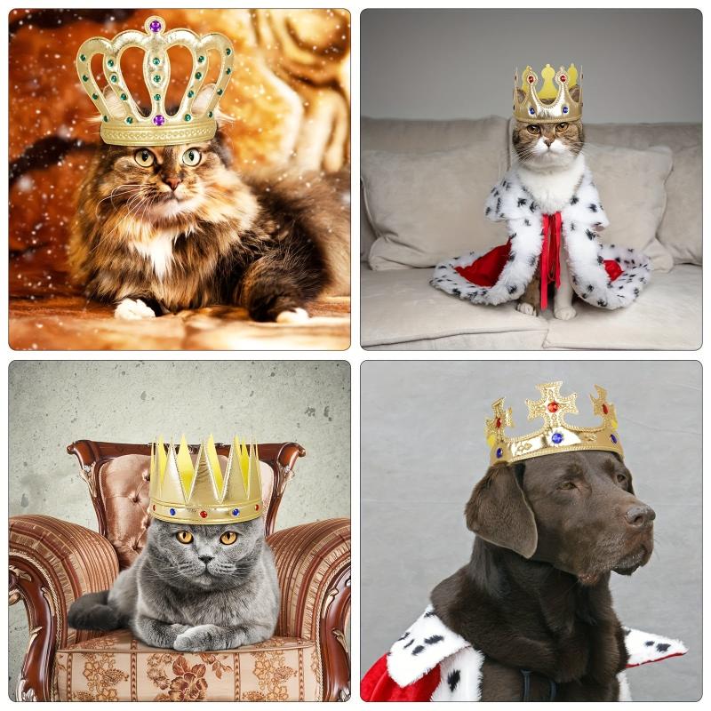 5pcs Kids Party Birthday Crown Hats Role Playing Accessories