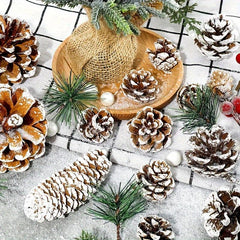 9pcs Christmas Pine Cones Snow Tipped With String 3.99cm