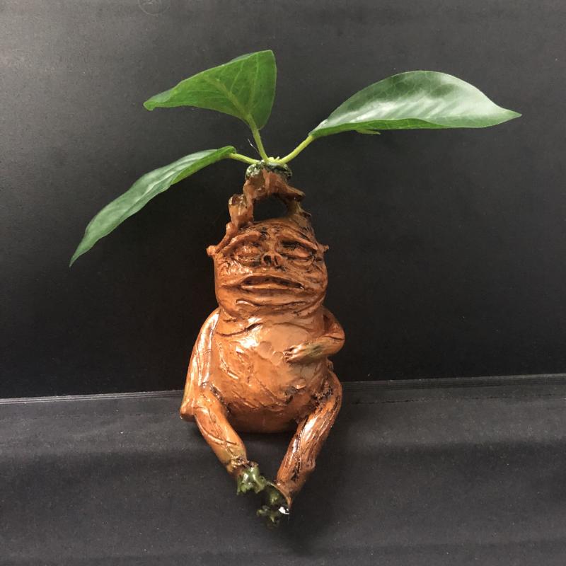Magical Mandrake Garden Statue for Outdoor Decoration