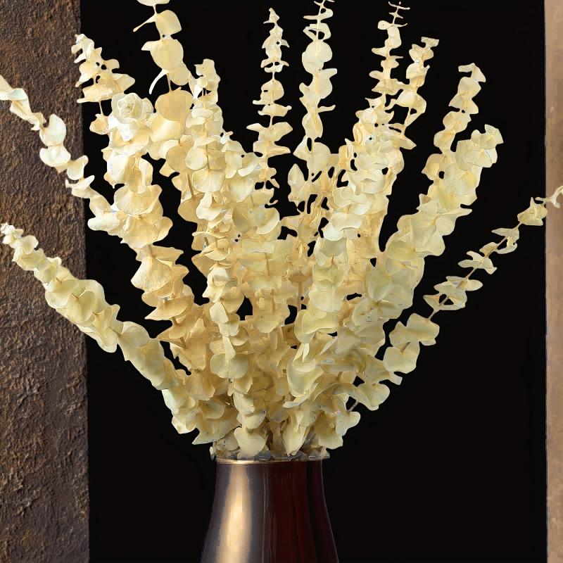 100 Natural Preserved Eucalyptus Plants for Vase Decor
