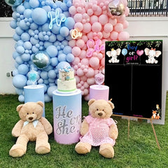 Gender Reveal Voting Poster & Stickers Set