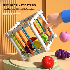 Children's Fruit Shape Classification Toy Set Early Learning Activity Cube Box