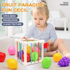 Children's Fruit Shape Classification Toy Set Early Learning Activity Cube Box