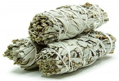 img_5131438