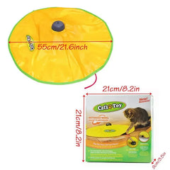 img_5100727