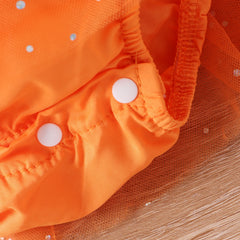 img_2544147