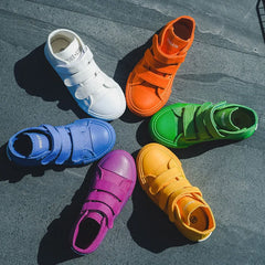 img_1564511