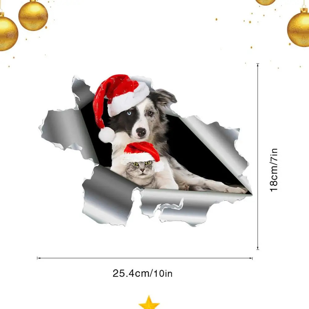 img_62964