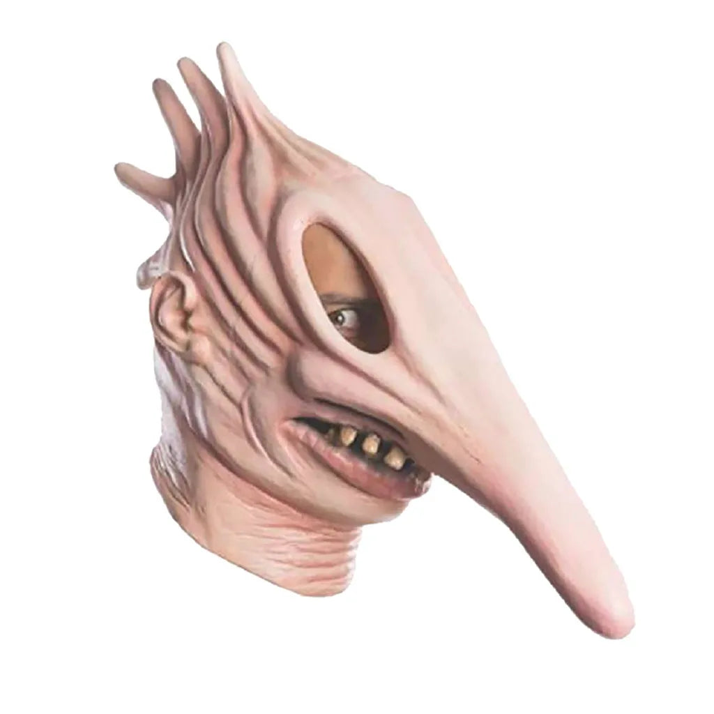 img_2558760