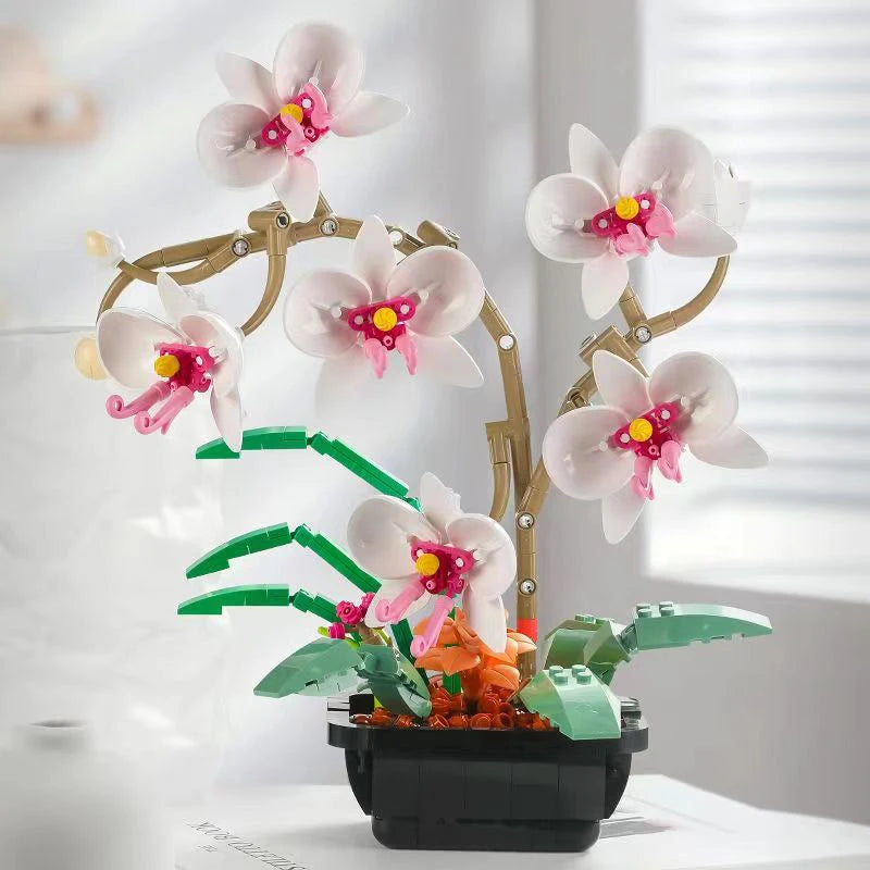 img_2718168