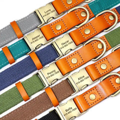 img_5025055