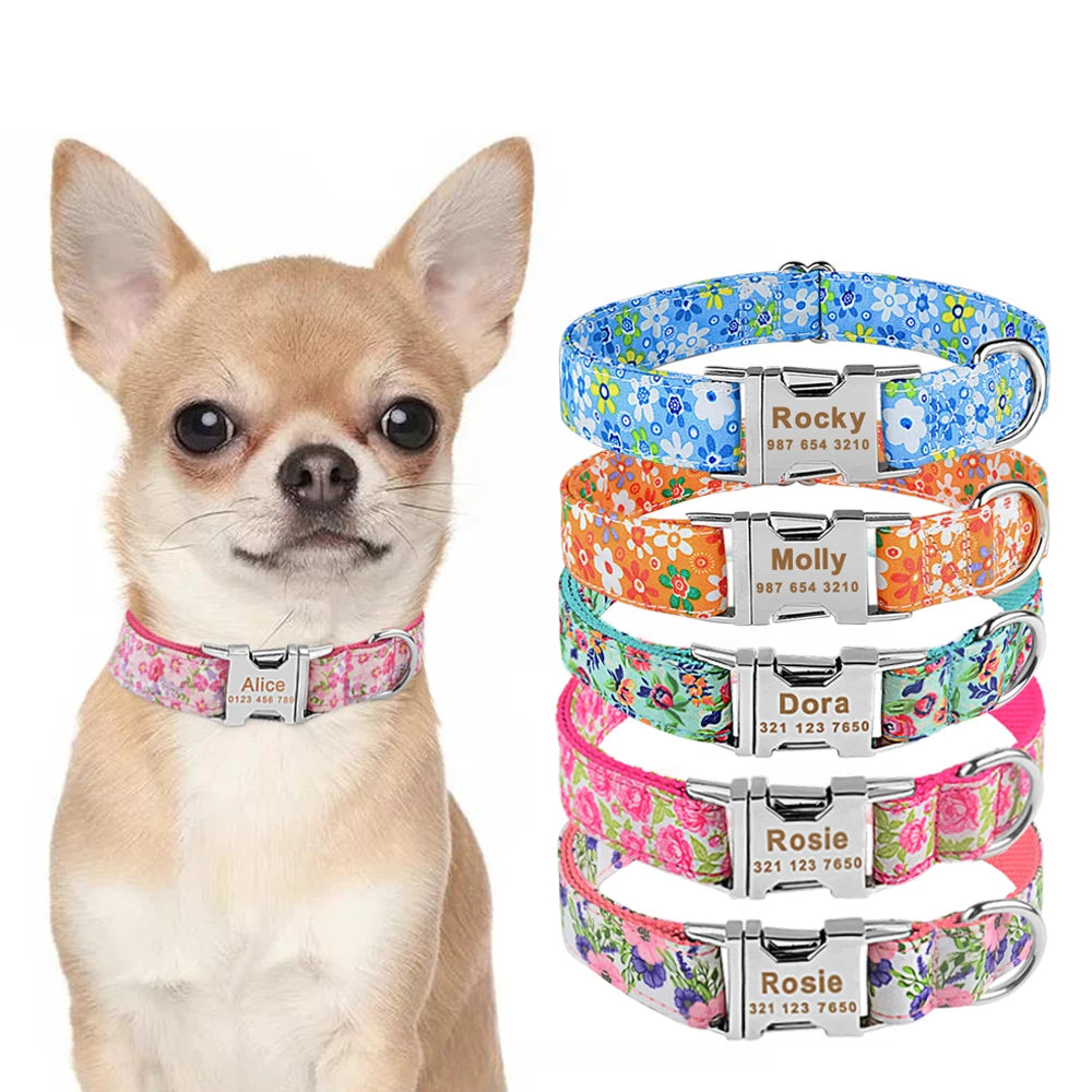 img_5023406