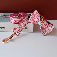 img_5022059