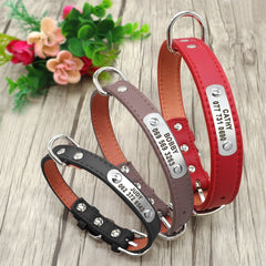 img_5022911