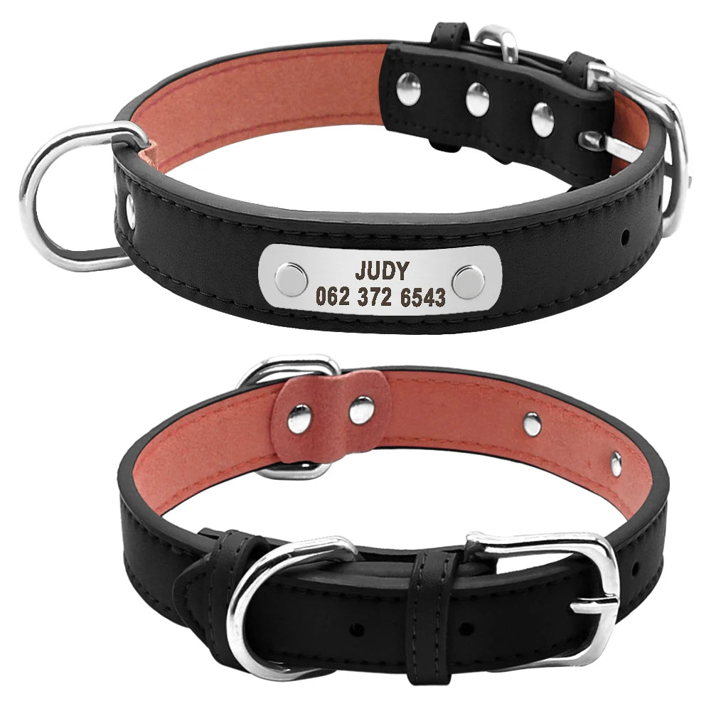 img_5022908