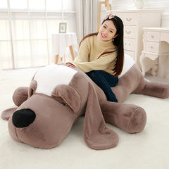 img_2923320