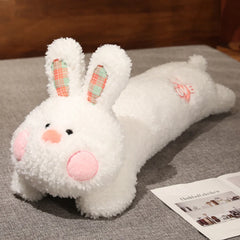 img_2913416