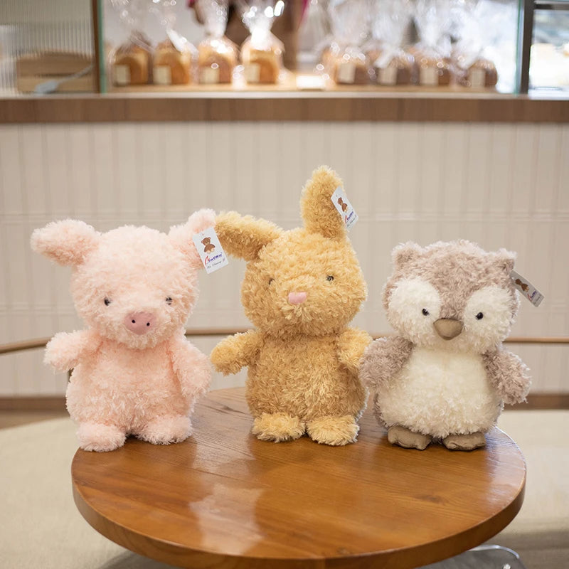 img_4996096