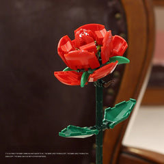 img_2821175