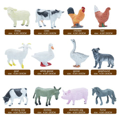 img_2695885