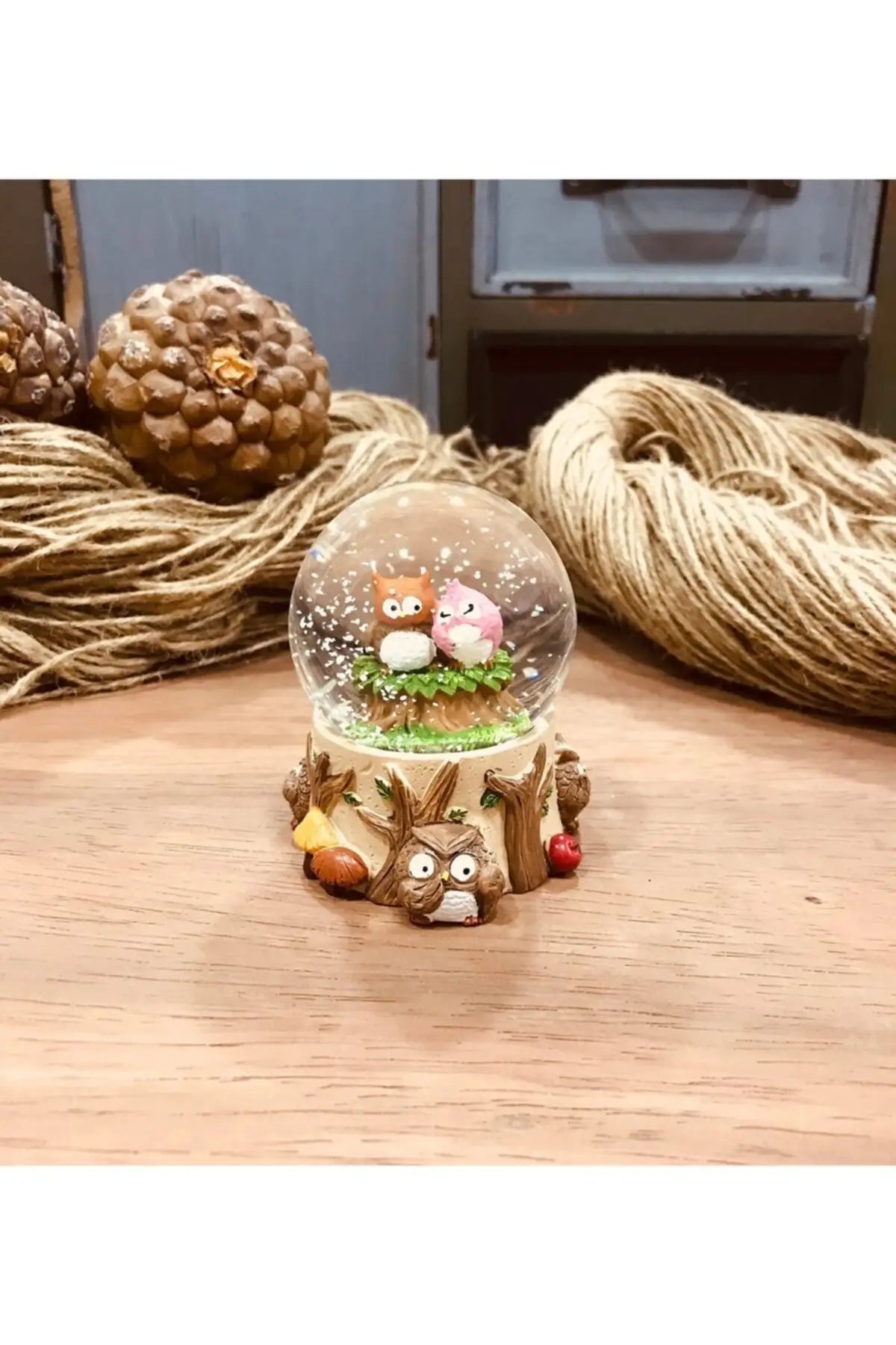 img_20091