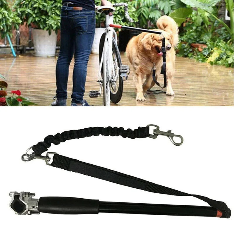 img_5027803