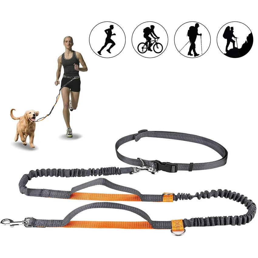 img_5035160